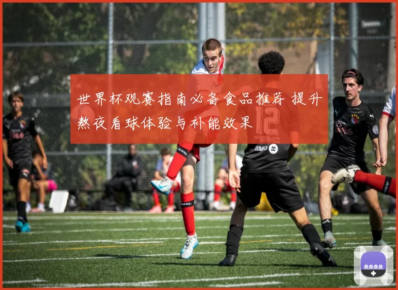 世界杯观赛指南必备食品推荐 提升熬夜看球体验与补能效果